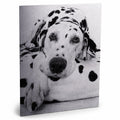 Aluminum Matt Silver Photo Panel 30x40cm