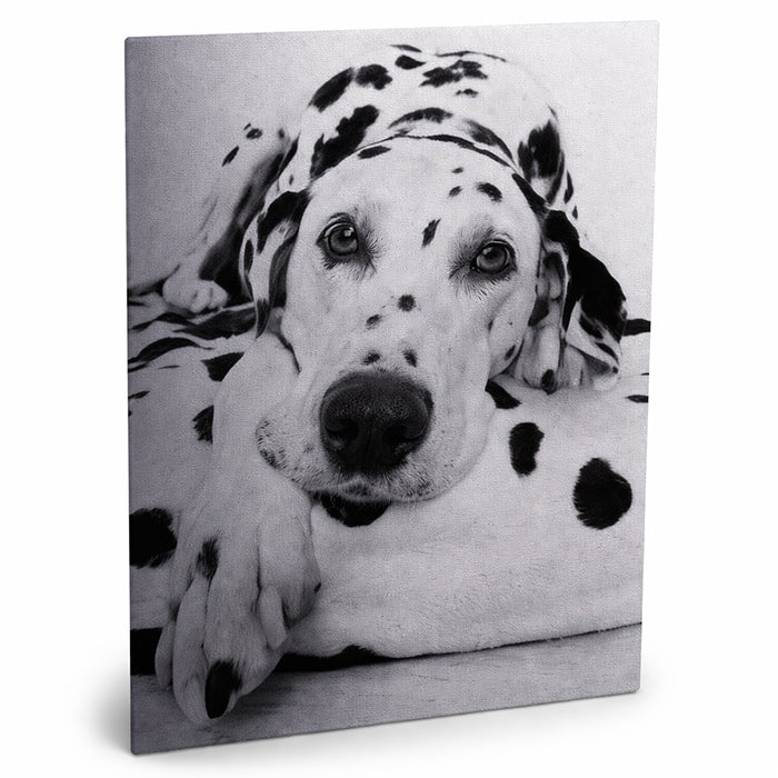 Aluminum Matt Silver Photo Panel 30x40cm