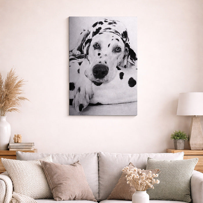 Aluminum Matt Silver Photo Panel 30x40cm